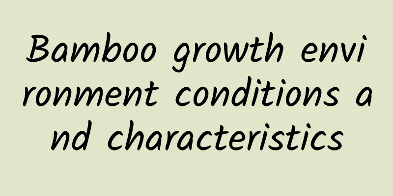Bamboo growth environment conditions and characteristics