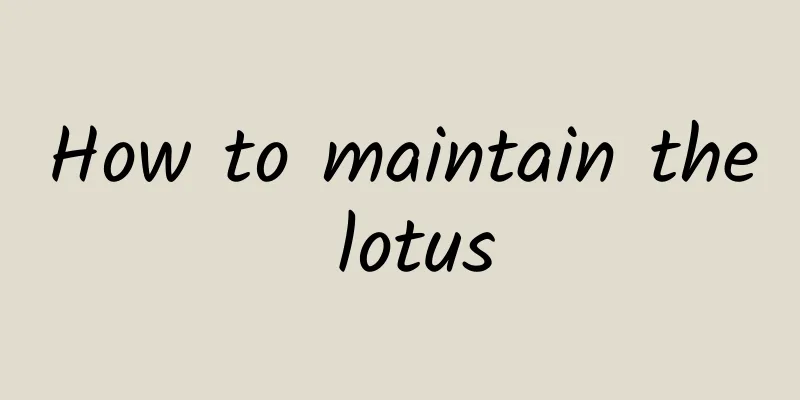 How to maintain the lotus