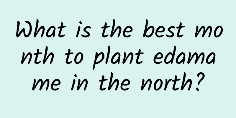 What is the best month to plant edamame in the north?