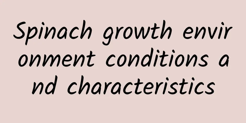Spinach growth environment conditions and characteristics