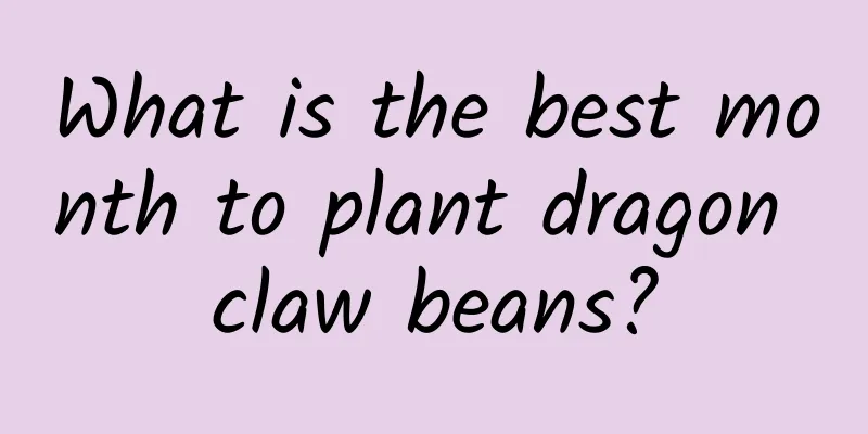 What is the best month to plant dragon claw beans?