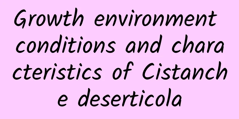 Growth environment conditions and characteristics of Cistanche deserticola