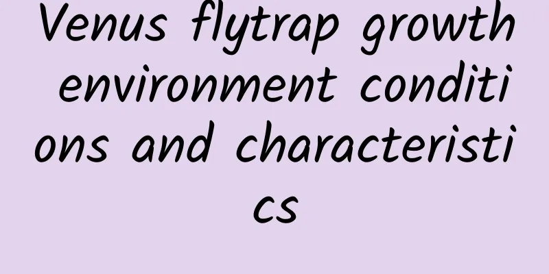 Venus flytrap growth environment conditions and characteristics