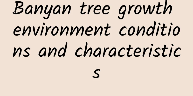 Banyan tree growth environment conditions and characteristics