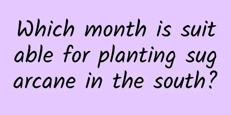 Which month is suitable for planting sugarcane in the south?