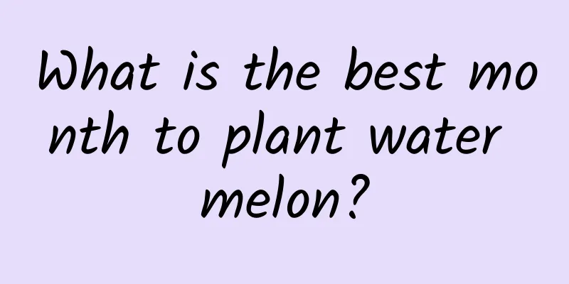 What is the best month to plant water melon?