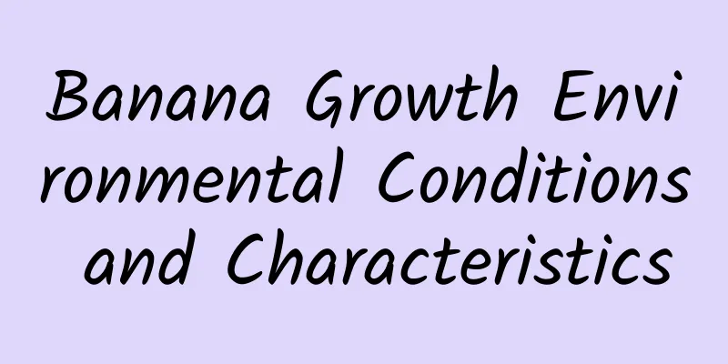 Banana Growth Environmental Conditions and Characteristics
