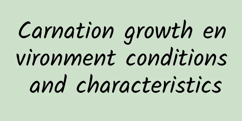 Carnation growth environment conditions and characteristics