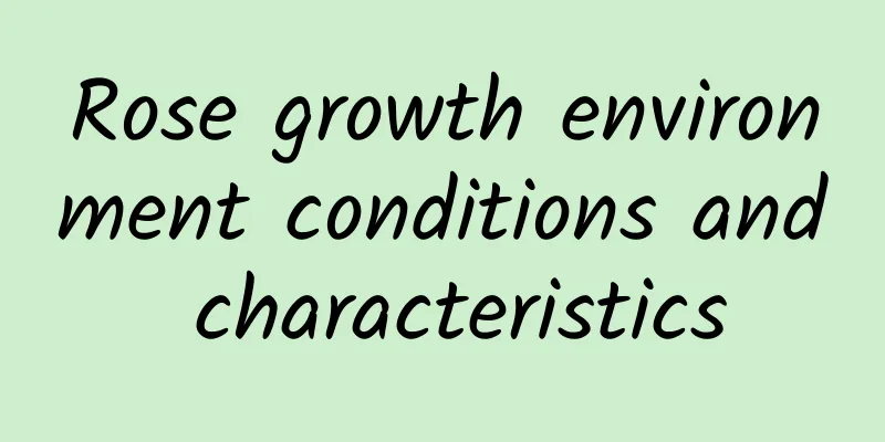 Rose growth environment conditions and characteristics