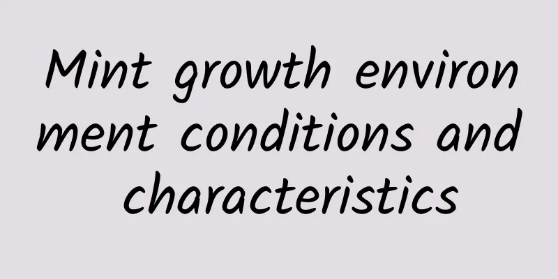 Mint growth environment conditions and characteristics
