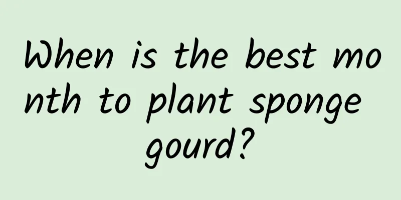 When is the best month to plant sponge gourd?