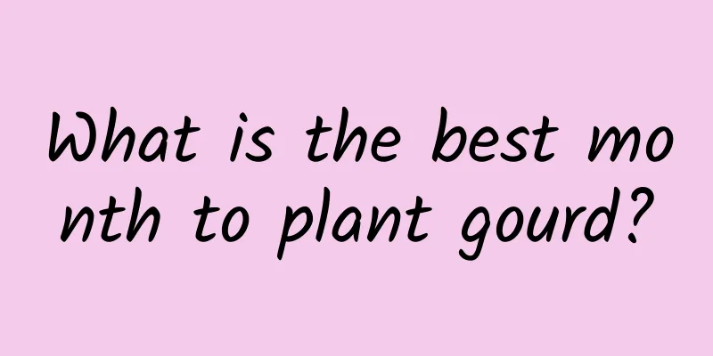 What is the best month to plant gourd?