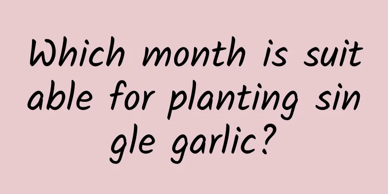 Which month is suitable for planting single garlic?