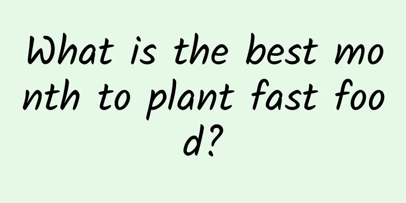 What is the best month to plant fast food?