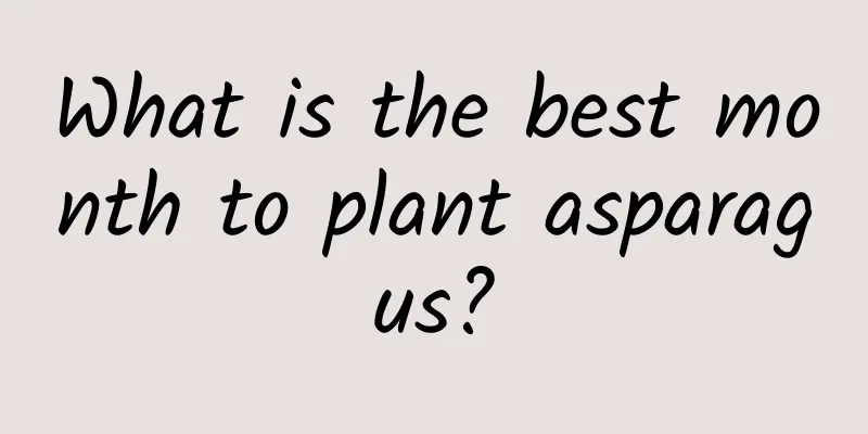 What is the best month to plant asparagus?