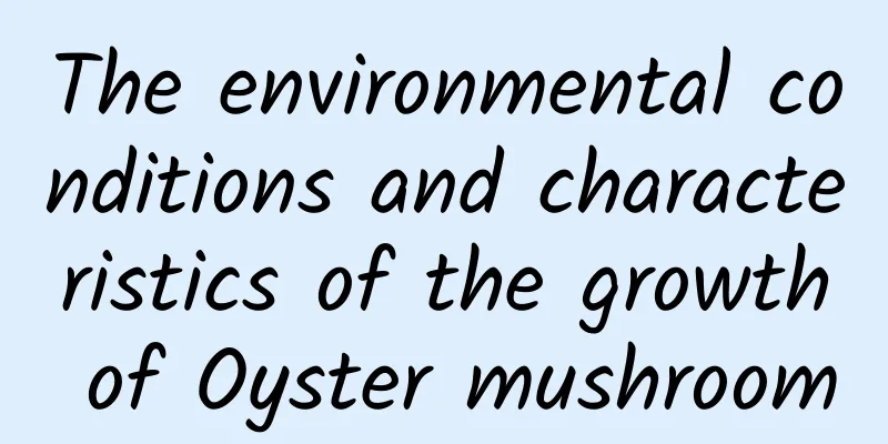 The environmental conditions and characteristics of the growth of Oyster mushroom