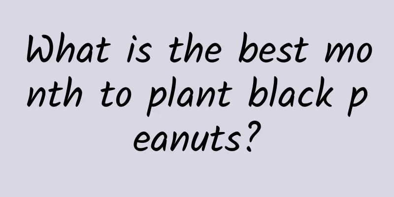 What is the best month to plant black peanuts?