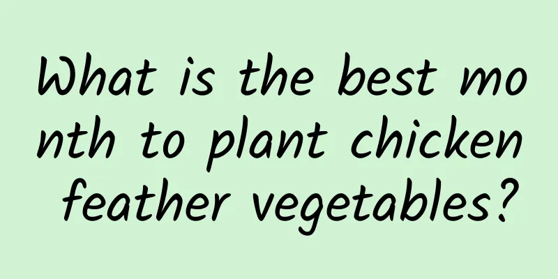 What is the best month to plant chicken feather vegetables?