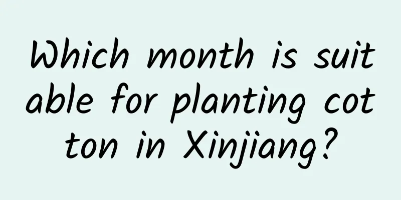 Which month is suitable for planting cotton in Xinjiang?