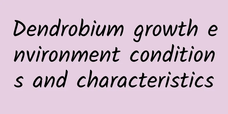 Dendrobium growth environment conditions and characteristics