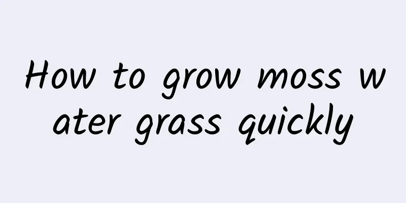 How to grow moss water grass quickly