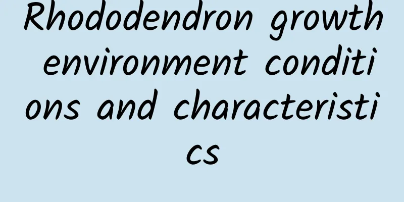 Rhododendron growth environment conditions and characteristics