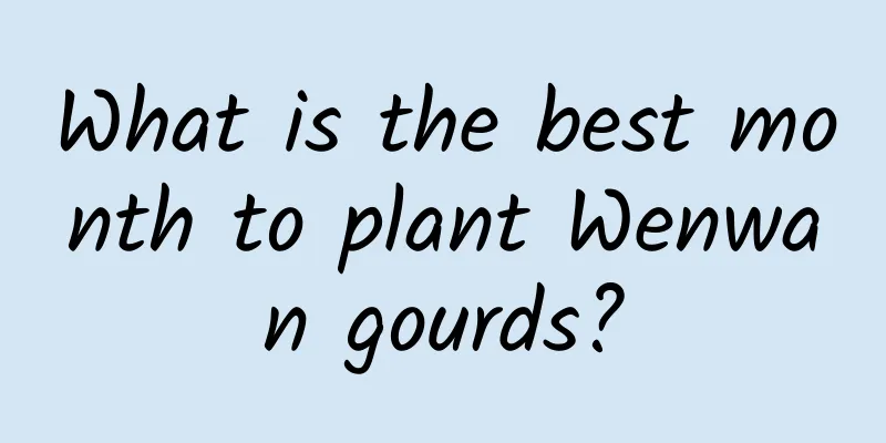 What is the best month to plant Wenwan gourds?