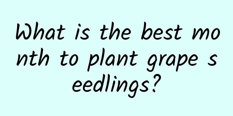 What is the best month to plant grape seedlings?