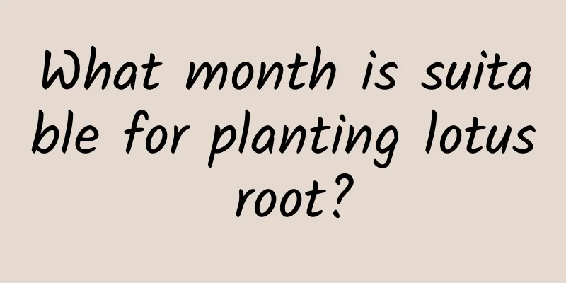 What month is suitable for planting lotus root?
