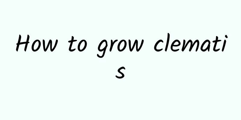 How to grow clematis