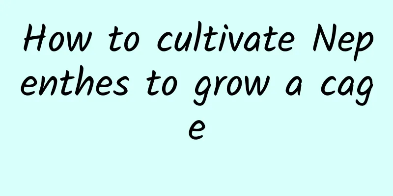 How to cultivate Nepenthes to grow a cage