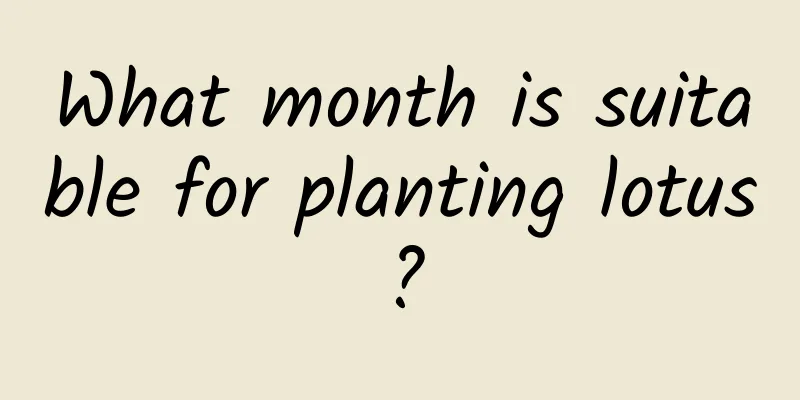 What month is suitable for planting lotus?