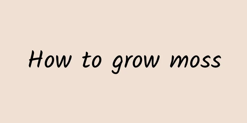 How to grow moss