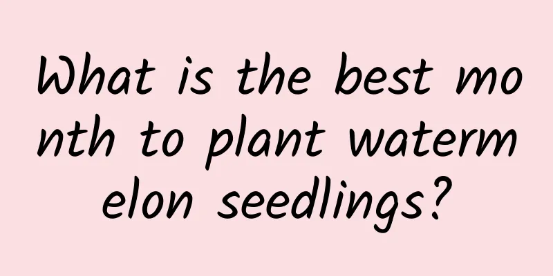 What is the best month to plant watermelon seedlings?