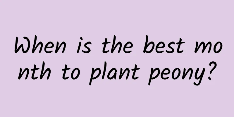 When is the best month to plant peony?