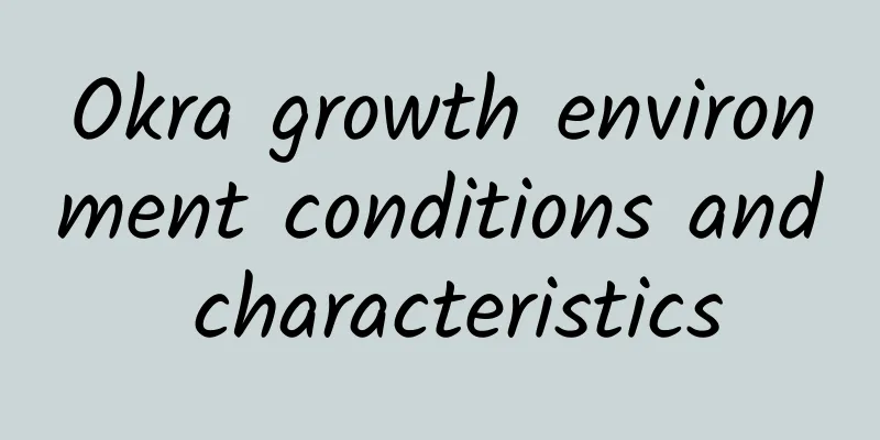 Okra growth environment conditions and characteristics