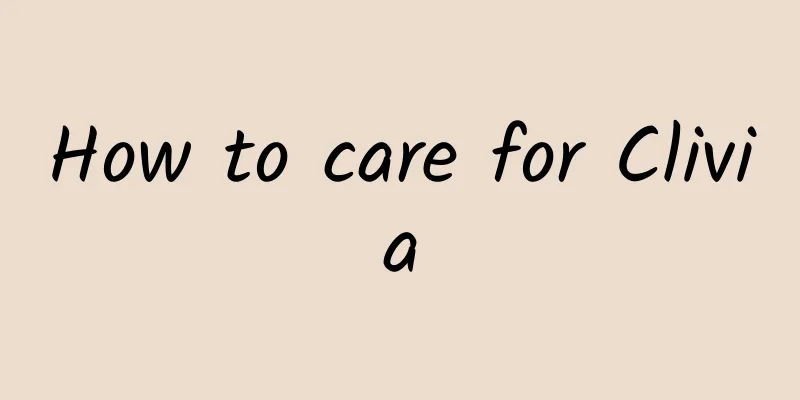 How to care for Clivia