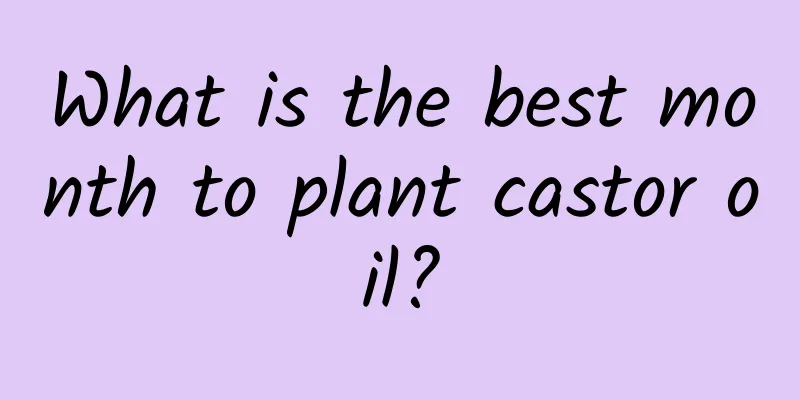 What is the best month to plant castor oil?