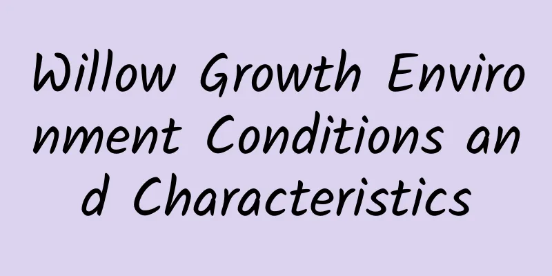 Willow Growth Environment Conditions and Characteristics
