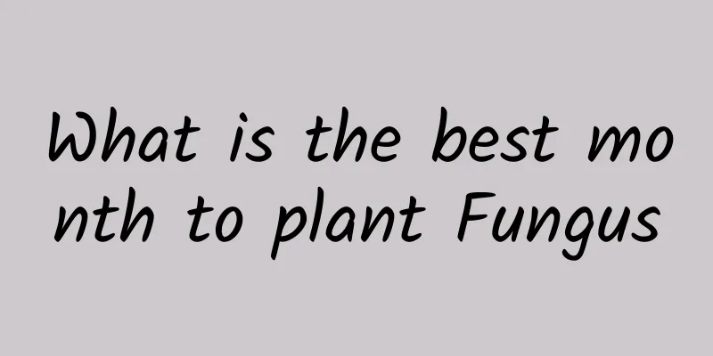 What is the best month to plant Fungus