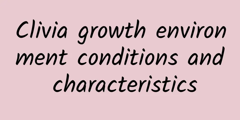Clivia growth environment conditions and characteristics