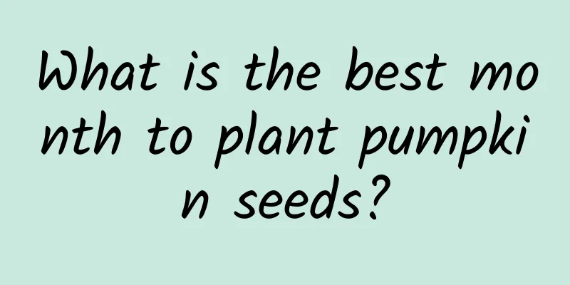 What is the best month to plant pumpkin seeds?