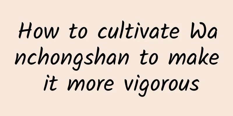 How to cultivate Wanchongshan to make it more vigorous