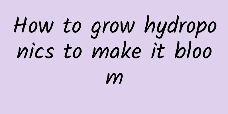 How to grow hydroponics to make it bloom