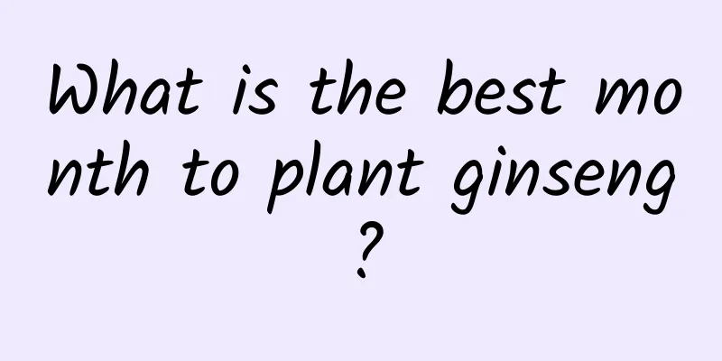 What is the best month to plant ginseng?