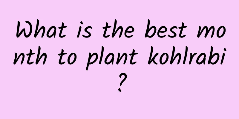 What is the best month to plant kohlrabi?