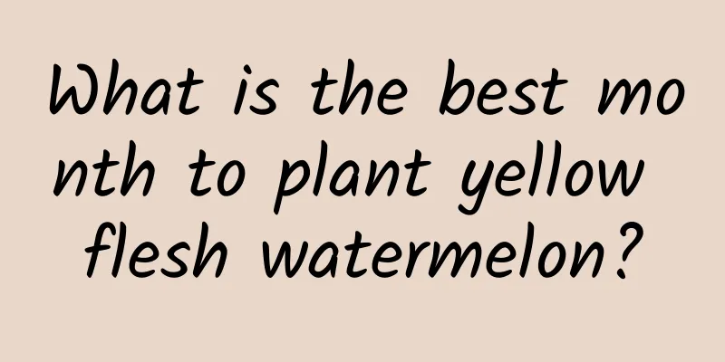 What is the best month to plant yellow flesh watermelon?