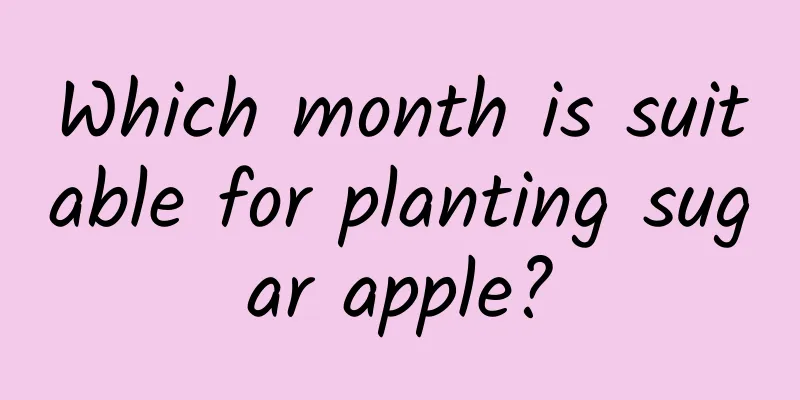 Which month is suitable for planting sugar apple?
