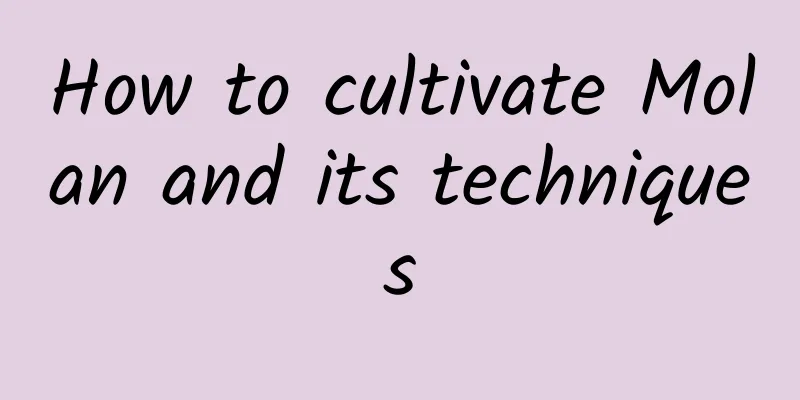 How to cultivate Molan and its techniques