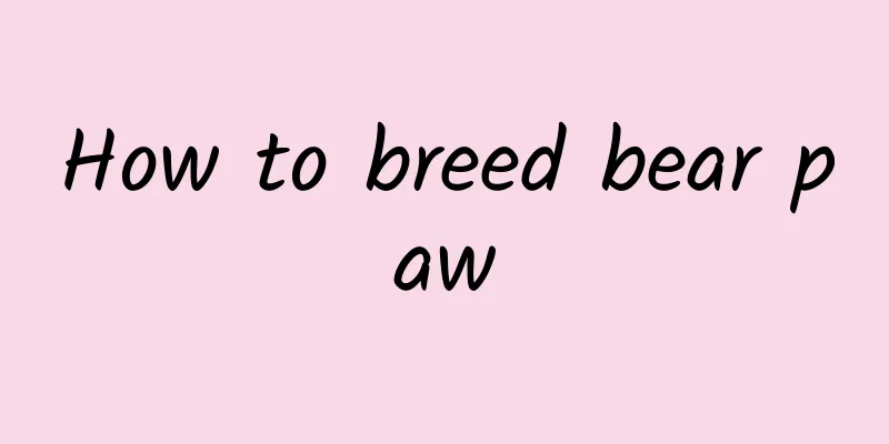 How to breed bear paw
